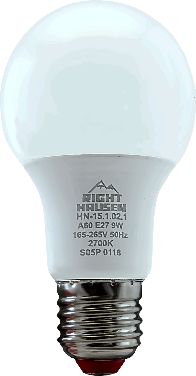 Lamp LED Standard A60 9W E27 2700K HN-151021