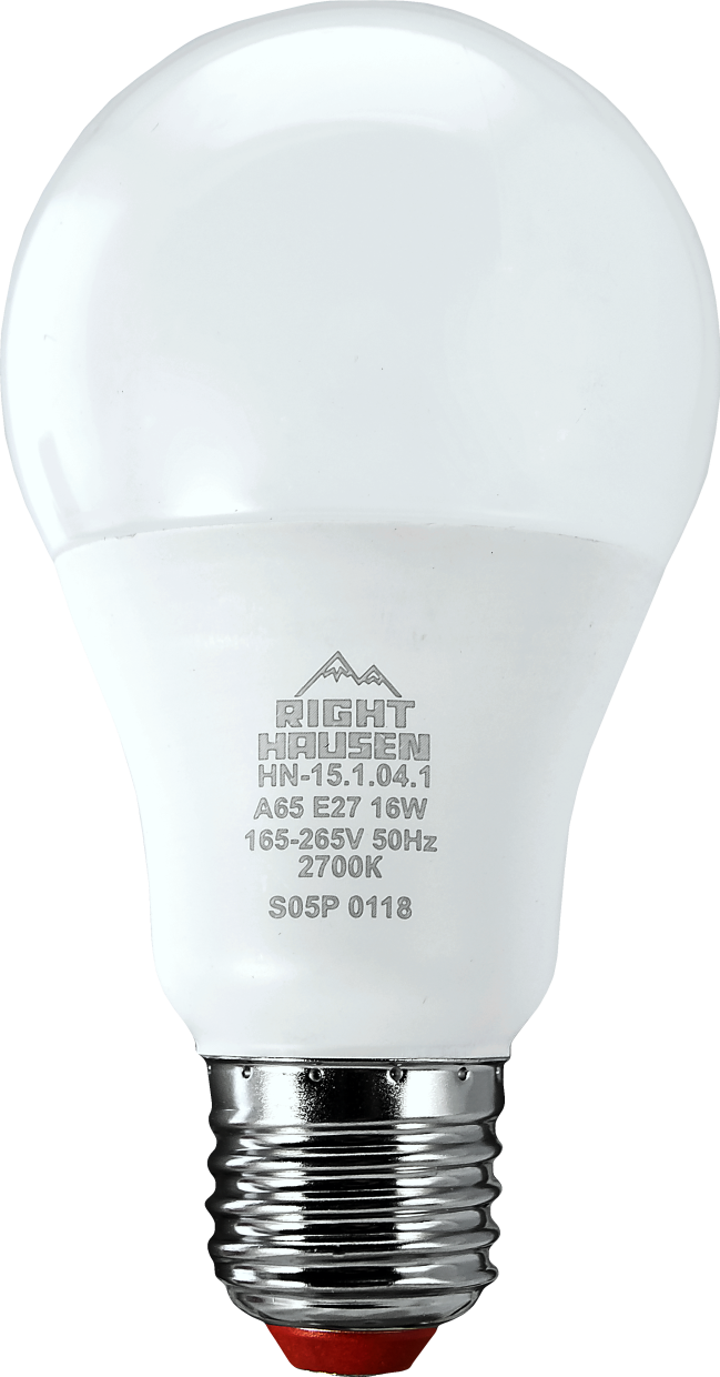 Lamp LED Standard A60 16W E27 6500K HN-151042