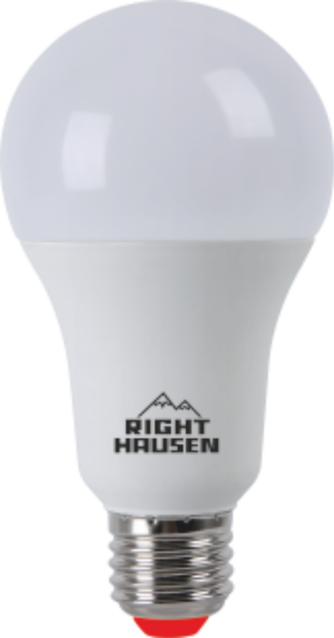 Lamp LED Standard A80 22W E27 4000K HN-151110N