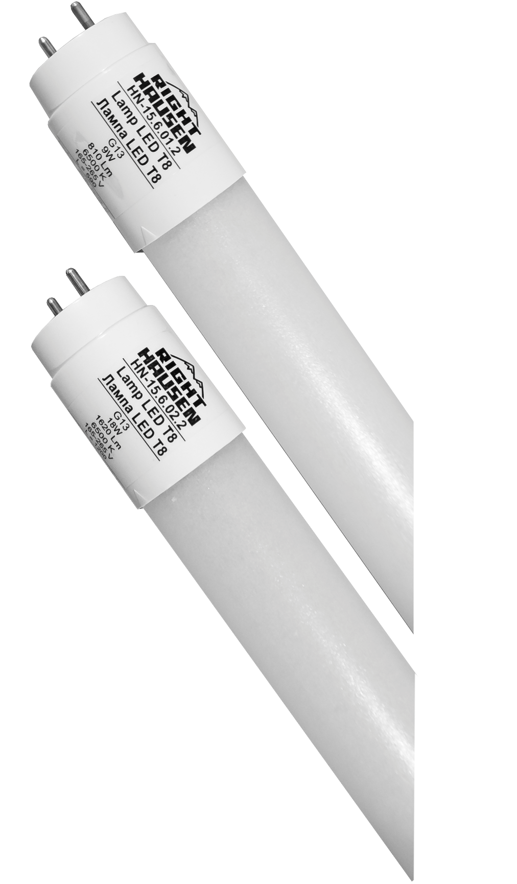 LED Lamp Standard T8 18W 1200mm 6500K G13 HN-156022