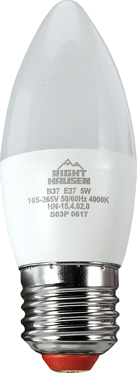 LED Lamp Standard C37 10W E27 2700K HN-154061