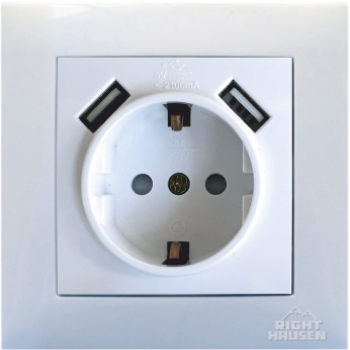 Single indoor socket with grounding and USB RIGHT HAUSEN VELENA