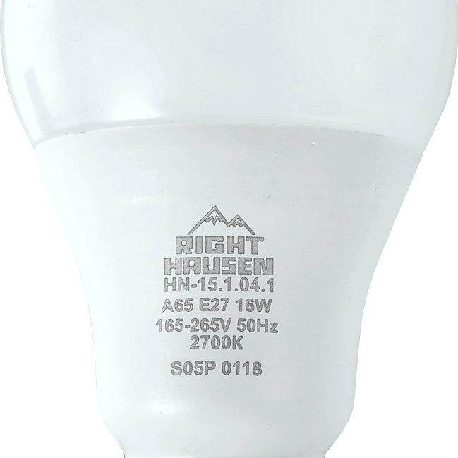 Lamp LED Standard A60 16W E27 6500K HN-151042