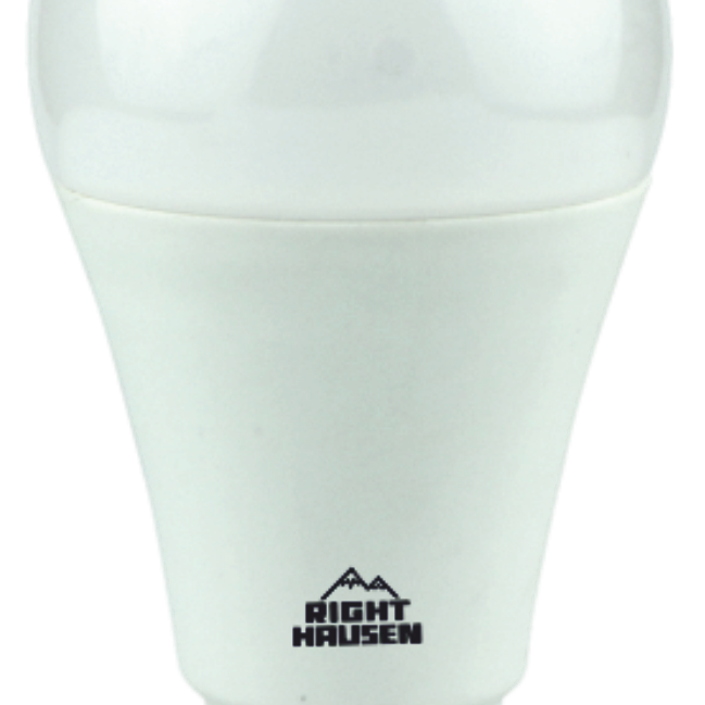 LED Lamp Standard RGB+4000K with Wi-Fi Control 9W E27 HN-151129