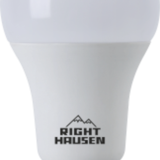 Lamp LED Standard A70 18W E27 4000K HN-151100N