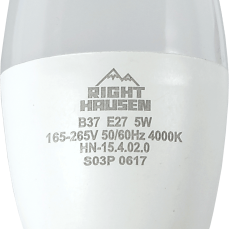 LED Lamp Standard C37 10W E27 2700K HN-154061